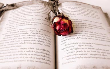 准大学生看过来，入学如何“三不愁”